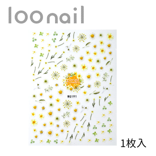 【00902611】ネイルシール【WG-191】